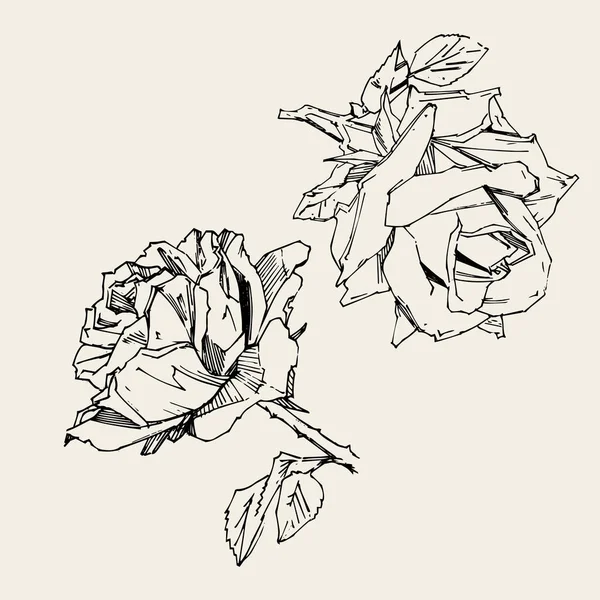 手绘玫瑰 矢量图解 老式纹身风格的玫瑰 花卉图案设计图 — 图库矢量图片
