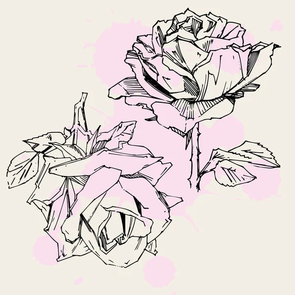 手绘玫瑰 矢量图解 老式纹身风格的玫瑰 花卉图案设计图 — 图库矢量图片