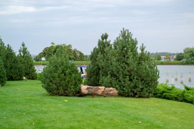 manzara manzarası yeşil çam çam ağacı çimi taze nehir gökyüzü. Yüksek kalite fotoğraf