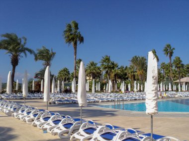 Güzel tropikal plaj ve deniz şemsiyesi ve sandalyesi ile otel tatil ve tatil için yüzme havuzunda. Yüksek kalite fotoğraf