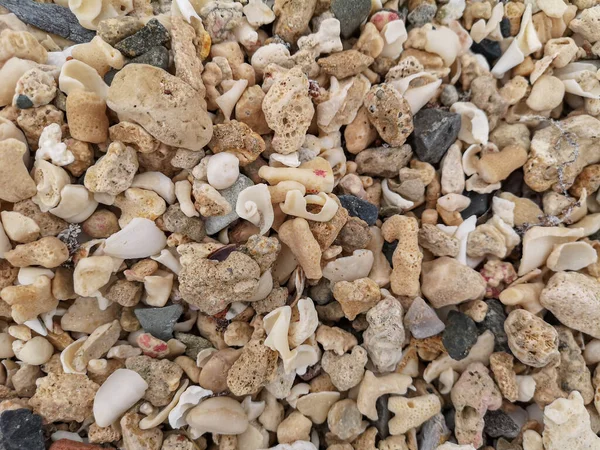 Sand Der Küste Muscheln Korallen Steine Felsen Hintergrundstruktur Strand Hochwertiges — Stockfoto