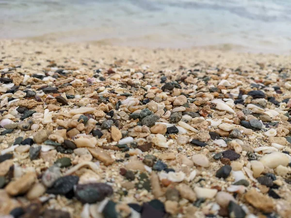 Areia Costa Mar Conchas Currais Pedras Pedras Textura Fundo Praia — Fotografia de Stock
