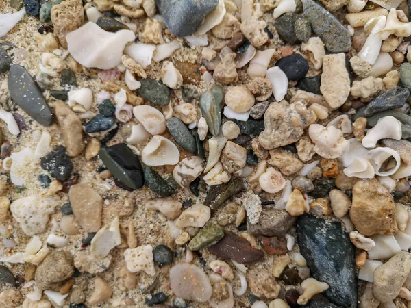 Морской Берег Песок Раковины Загоны Камни Камни Фон Текстуры Пляже — стоковое фото