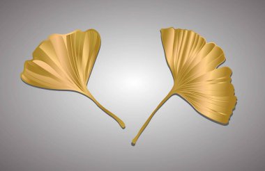 Ginkgo biloba yaprağının Yazdırma Vektörü çizimi. mürekkep çizgisi sanat tasarımı