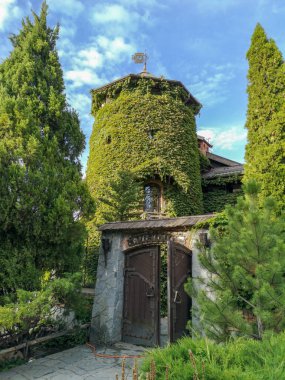 Ortaçağ kale kulesi, eski mimari sarmaşık kaplı bina. Yüksek kalite fotoğraf