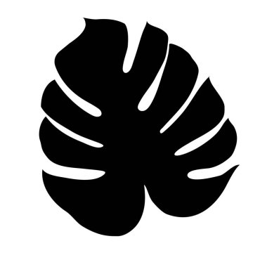 Monstera Deliciosa tropikal ormanlardan izole edilmiş bitki yaprağı. Tebrik kartları, el ilanları, davetiyeler, web tasarımı için vektör