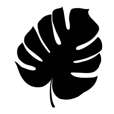 Monstera Deliciosa tropikal ormanlardan izole edilmiş bitki yaprağı. Tebrik kartları, el ilanları, davetiyeler, web tasarımı için vektör