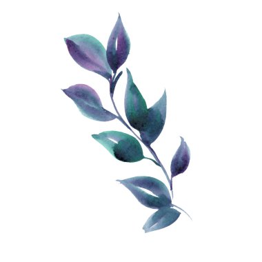 Okaluptus 'un yeşil yaprakları, söğüt, bitki, çimen, dikişsiz çiçek deseni. Bitkisel parmak izi. Yüksek kalite fotoğraf