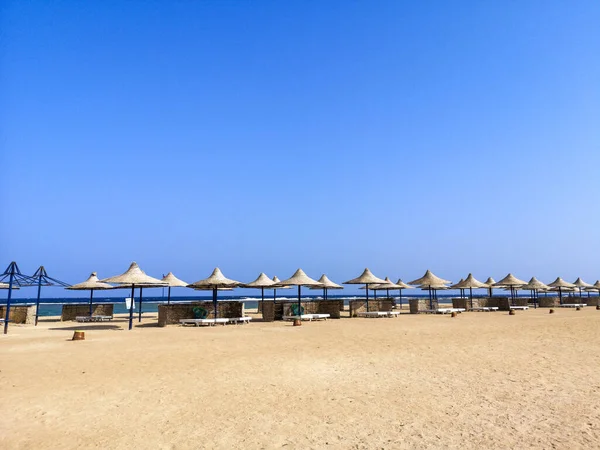 View Great Sandy Beach Marsa Alam Egypt Umbrellas Sun Loungers — Stock Photo, Image