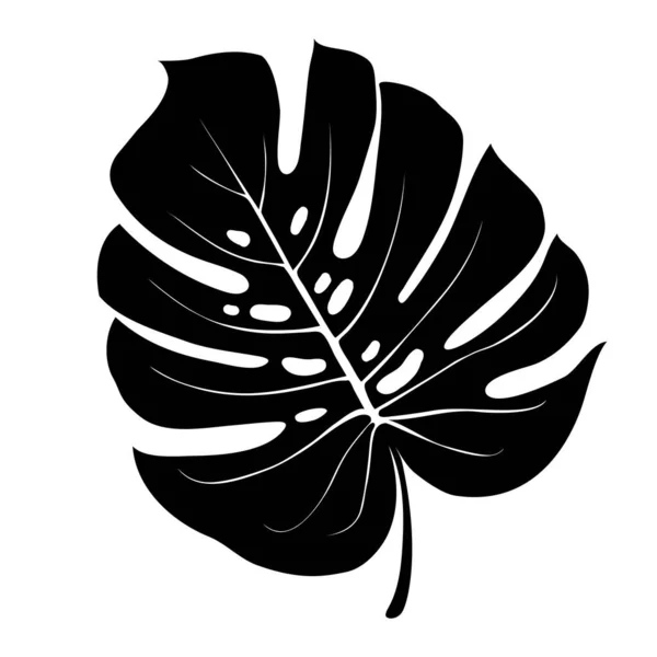 从热带森林中分离出来的菊花植物叶子 邀请函 网页设计的载体 — 图库矢量图片