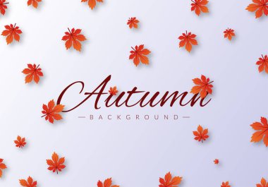 Güz Arkaplanı ile Yapraklar gri bg