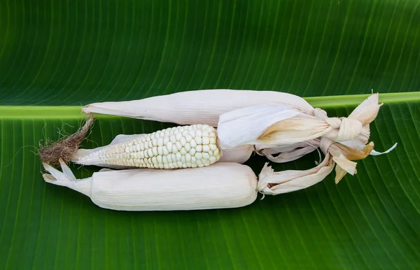 Porumb uscat pe frunze de banane — Fotografie, imagine de stoc