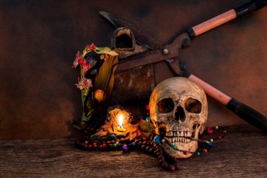 kafatası ile natürmort çiçek