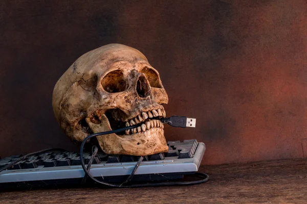 キーボード、静物と人間の頭蓋骨 — ストック写真
