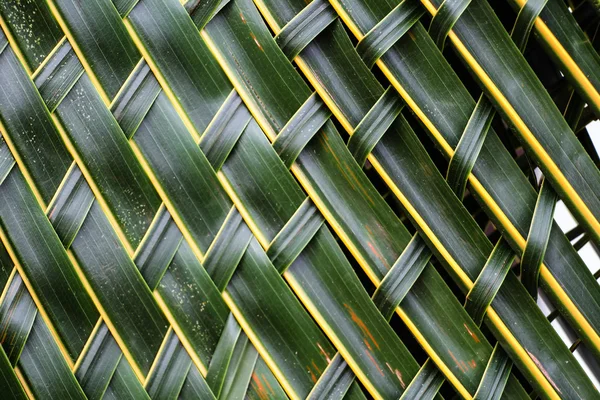 Coconut leaves woven — Stock Photo, Image