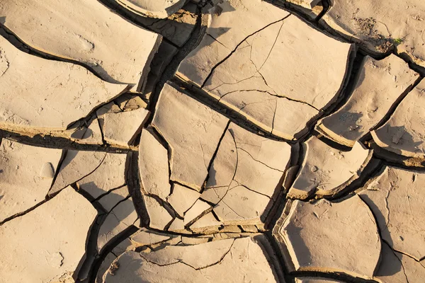 Cracked earth — Stock Photo, Image