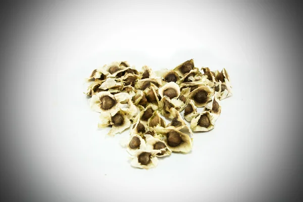Moringa tohum