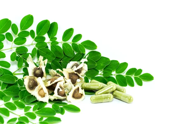 Bittere komkommer-chinees (Moringa oleifera Lam).) — Stockfoto