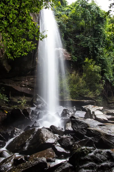 Floresta Cachoeira — Fotografia de Stock
