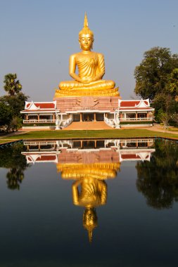 büyük altın buddha heykeli