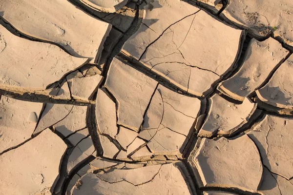 Dry soil background — Stock Photo, Image