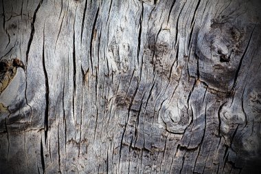 Eski ahşap doku üzerinde çatlamak