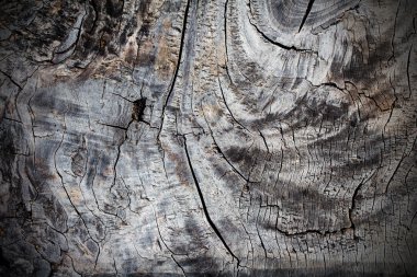 eski ahşap arka plan