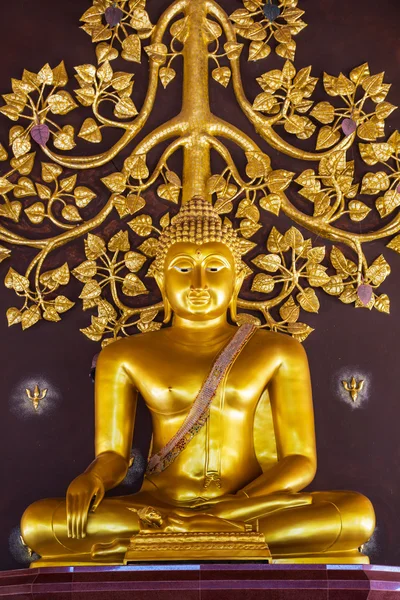 Buddha vid huvudaltaret av Wat Phu fören — Stockfoto