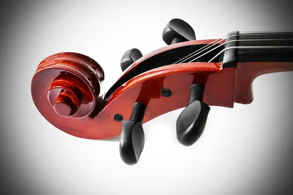Violino su sfondo bianco — Foto Stock