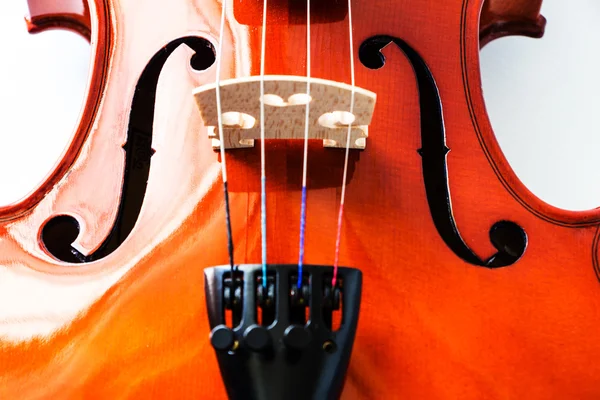 Violino sobre fundo branco — Fotografia de Stock