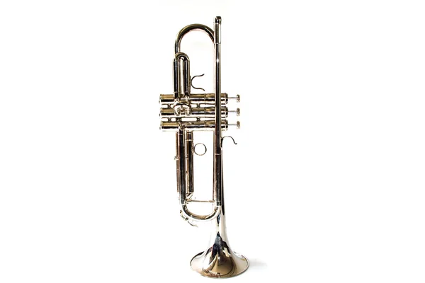 Detalhe de trompete closeup — Fotografia de Stock