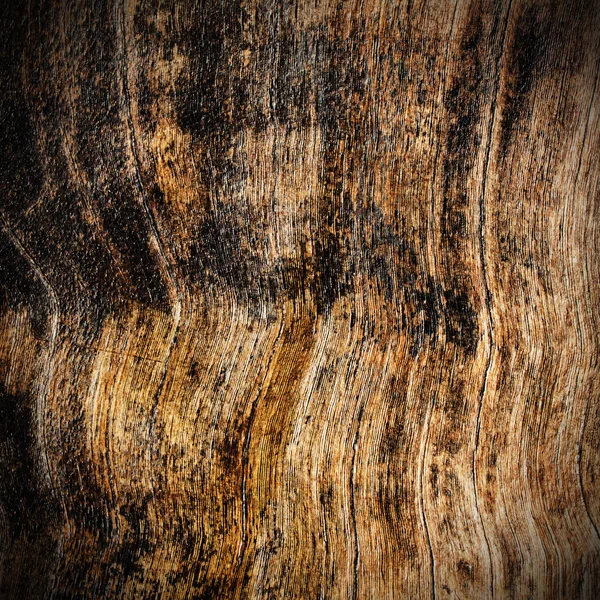 Tekstury drewna kory — Zdjęcie stockowe