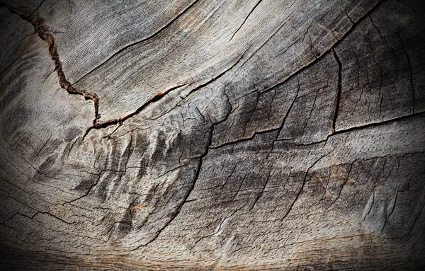 老木背景 — 图库照片