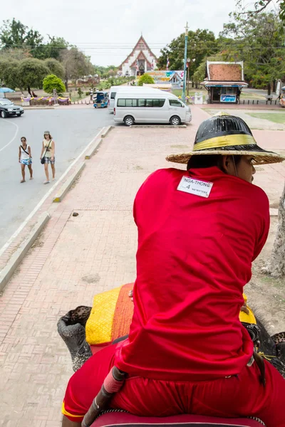 Tillbaka av mahouten och turist är — Stockfoto