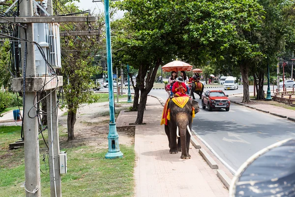 Thailand Elephant Tourists People — ストック写真