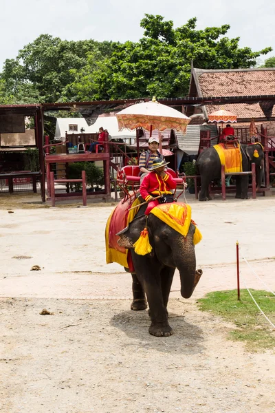 Thailand Elephant Tourists People Outdoors — ストック写真