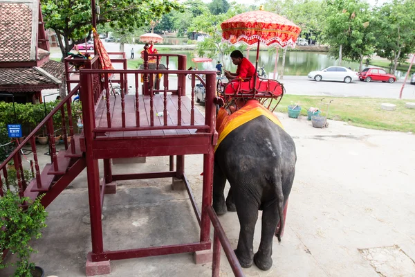 Tailândia Elefante Com Proprietário Homem — Fotografia de Stock