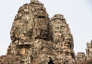 Ta Prohm Tapınağı alan Kamboçya Angkor Wat yakınındaki.