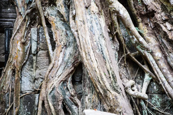 Le rovine del Tempio di Bayon con molte facce di pietra — Foto Stock