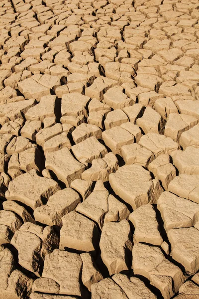 Dettaglio di una terra incrinata — Foto Stock