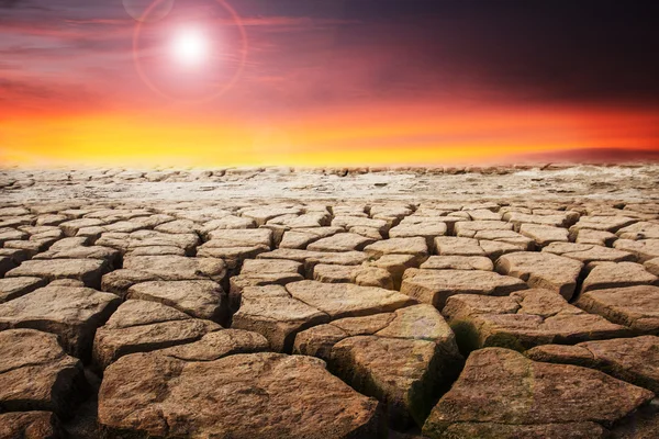 Terreno con tierra seca y agrietada. Desierto . — Foto de Stock