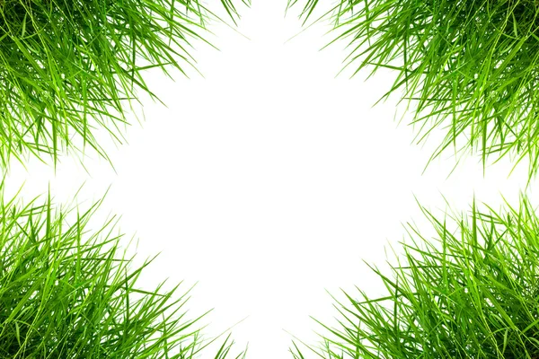 Рамка зеленой травы на белом фоне — стоковое фото