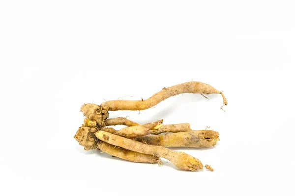 Fingerroot, Kaempfer, Boesenbergia on white background — Stock Photo, Image