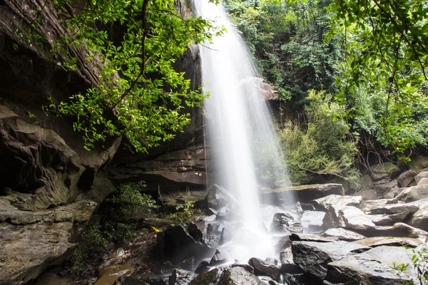 Cachoeira na floresta tropical. — Fotografia de Stock
