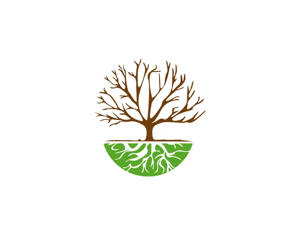 Tree Root Logo ikon — Stock vektor