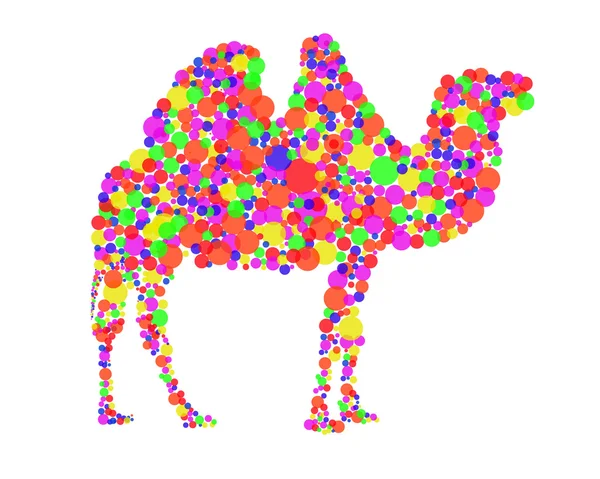 Diseño Gráfico Camel — Vector de stock