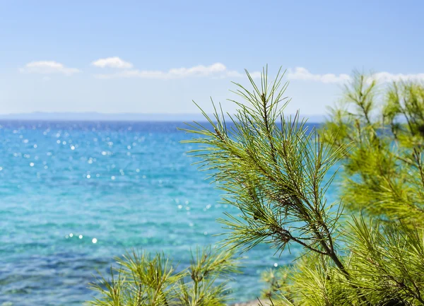 Vista al mar — Foto de Stock