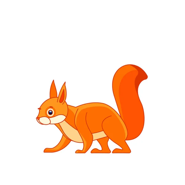 Kráčí roztomilá červená veverka. Kreslený charakter malého savce. Divoké lesní stvoření s červenou, oranžovou srstí. Boční pohled. Vektor v plochém stylu ilustrace izolované na bílém pozadí — Stockový vektor