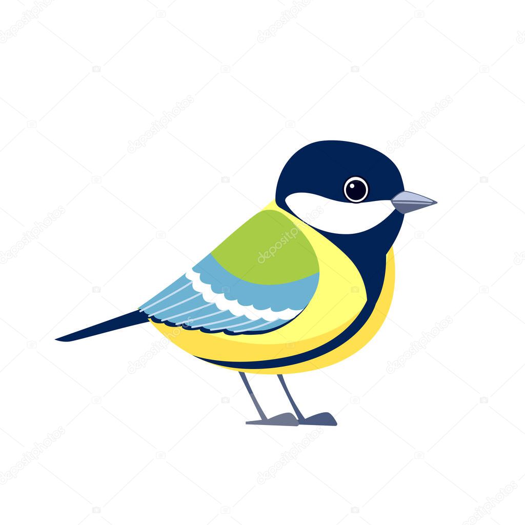 Great tit is a passerine bird in the tit family Paridae. Titmouse bird Cartoon flat style beautiful character of ornithology, vector illustration isolated on white background