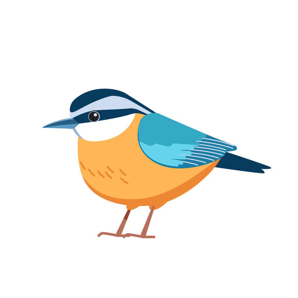 Красногрудый нутч это маленькая певчая птичка. Научное название Sitta canadensis. Passerine Bird мультфильм плоский стиль красивый характер орнитологии, векторные иллюстрации изолированы на белом фоне